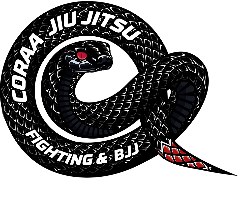 jiu jitsu neza